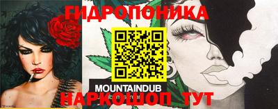 индика Гагарин