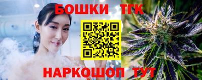 индика Гагарин