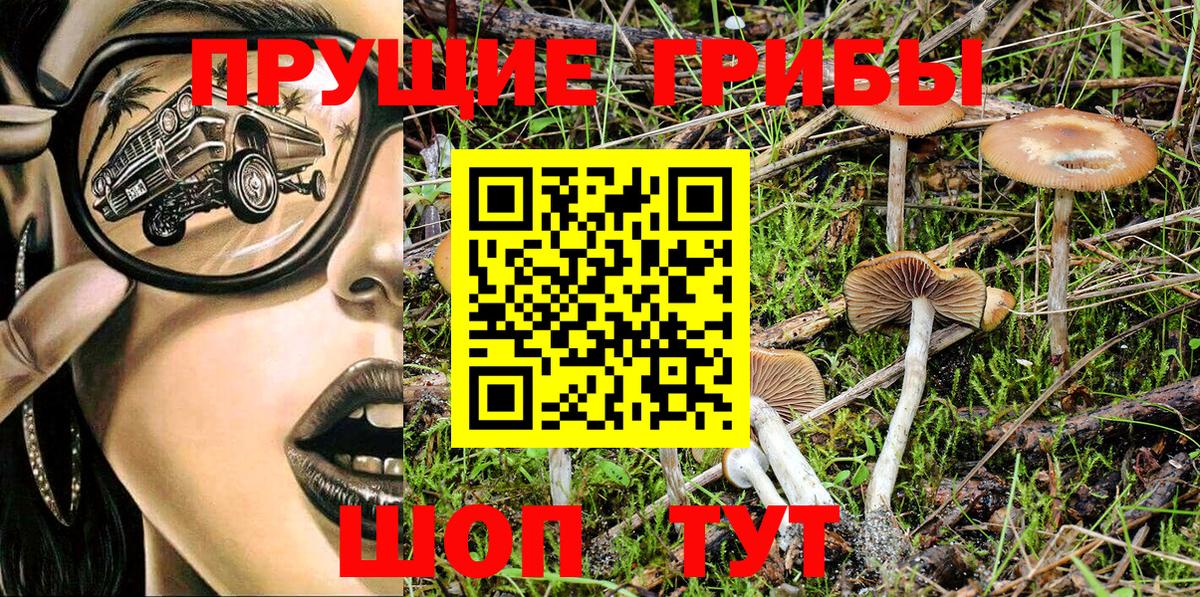 Батайск  Галлюциногенные грибы Cubensis  Вход с VPN 